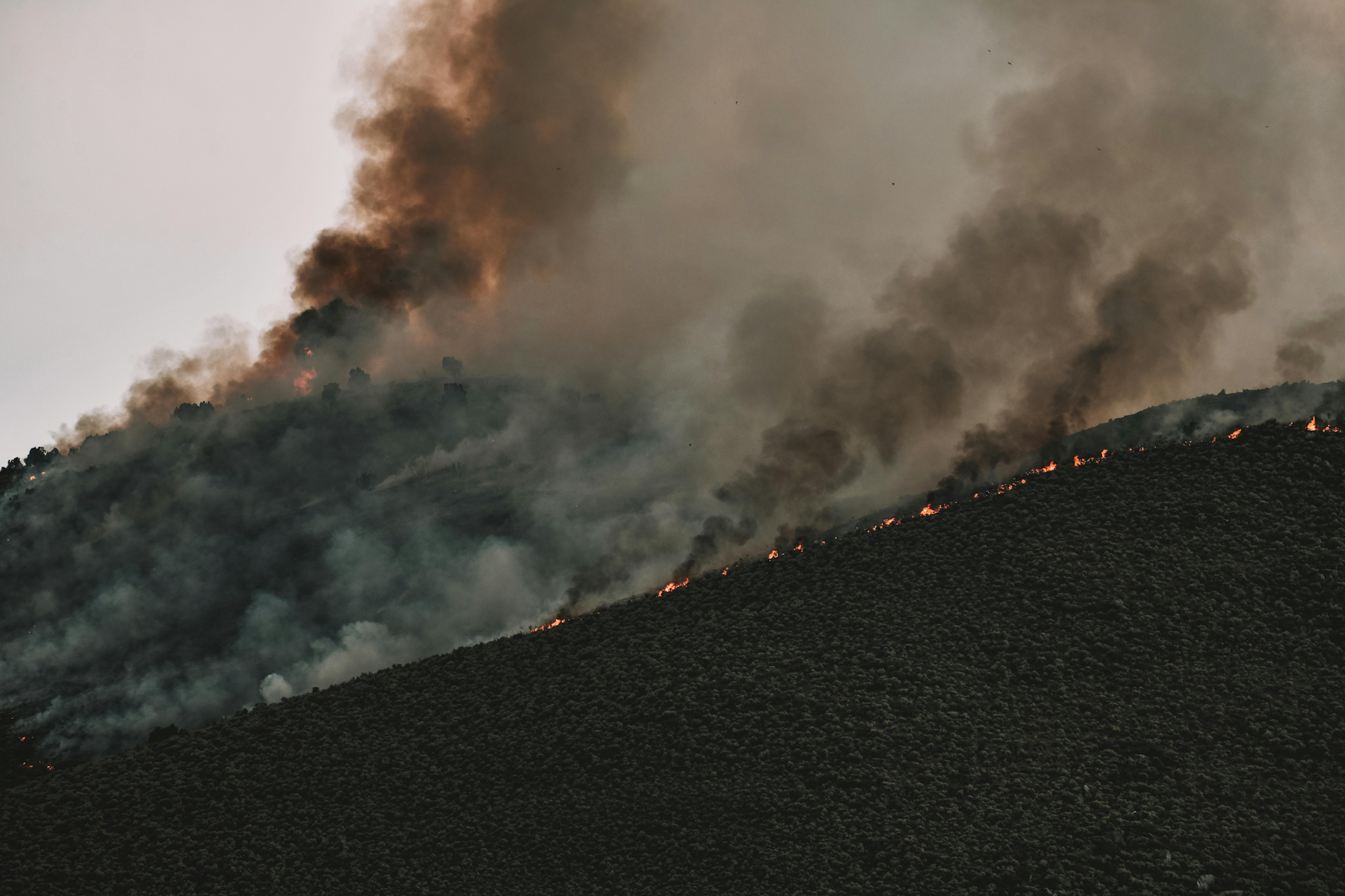 Wildfire Webinar - 1800 x 1200